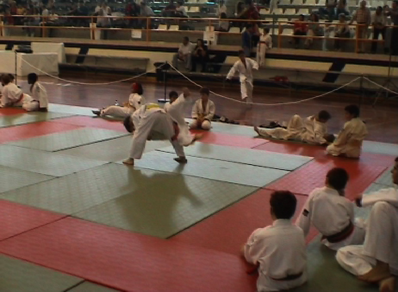 judo Spain